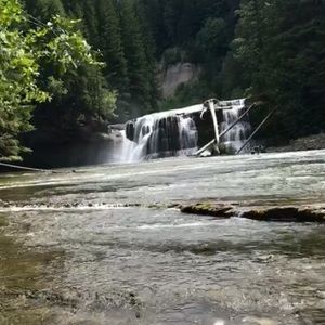 Meet your Posher, Ella